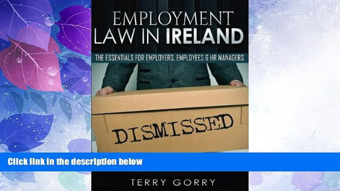 Big Deals  Employment Law In Ireland: The Essentials for Employers, Employees and HR Managers