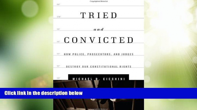 Big Deals  Tried and Convicted: How Police, Prosecutors, and Judges Destroy Our Constitutional