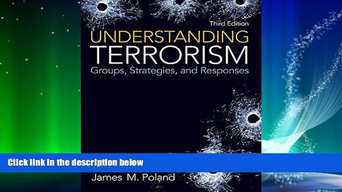 Big Deals  Understanding Terrorism: Groups, Strategies, and Responses (3rd Edition)  Best Seller