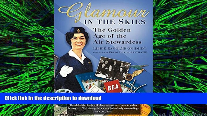 READ PDF Glamour in the Skies: The Golden Age of the Air Stewardess READ PDF BOOKS ONLINE