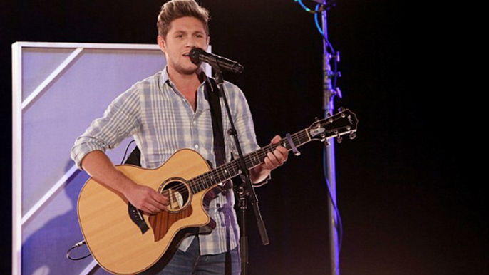 Niall Horan Plays 'Who'd You Rather' and Performs 'This Town' on 'Ellen'
