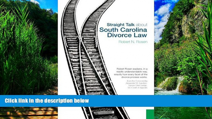 Books to Read  Straight Talk about South Carolina Divorce Law  Best Seller Books Best Seller