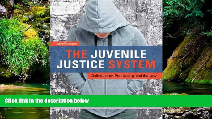 Full [PDF]  The Juvenile Justice System: Delinquency, Processing, and the Law (7th Edition)  READ