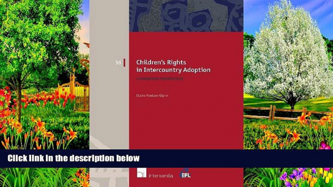 Big Deals  Children s Rights in Intercountry Adoption: A European Perspective (European Family