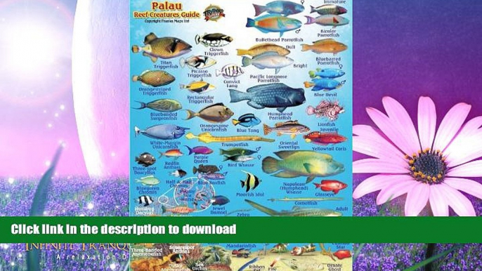 READ  Palau Reef Creatures Guide Franko Maps Laminated Fish Card 4" x 6" FULL ONLINE