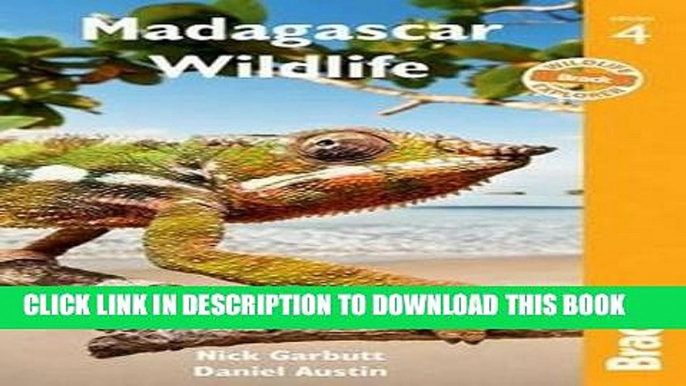 Best Seller Madagascar Wildlife (Bradt Guides) Free Read