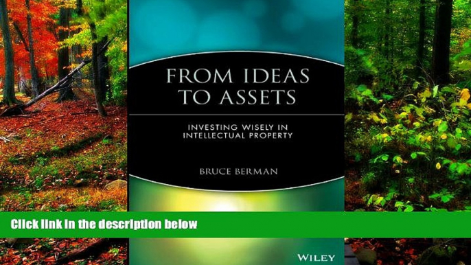 Deals in Books  From Ideas to Assets: Investing Wisely in Intellectual Property  Premium Ebooks