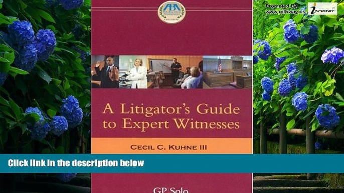 Big Deals  A Litigator s Guide to Expert Witnesses  Full Ebooks Most Wanted