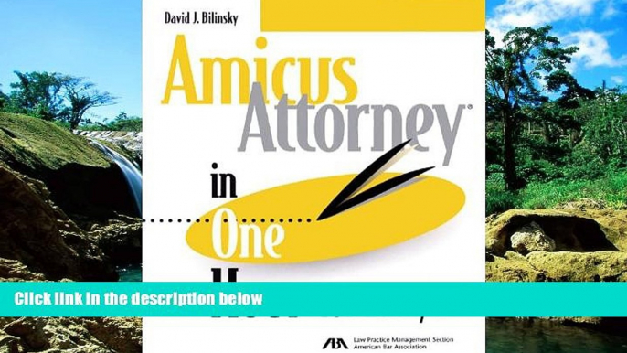 Must Have  Amicus Attorney in One Hour for Lawyers  Premium PDF Full Ebook