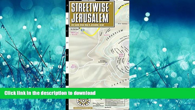 READ THE NEW BOOK Streetwise Jerusalem Map - Laminated City Center Street Map of Jerusalem, Israel