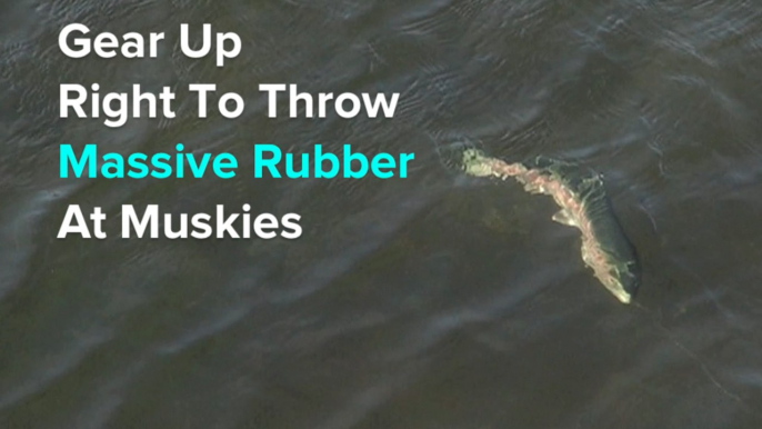 Gear Up Right to Throw Massive Swimbaits at Muskies