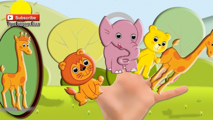 Bummi bär Finger Family Song lyrics deutsch bummi bummi, Bummi und seine freunde | ToysSurpriseEggs