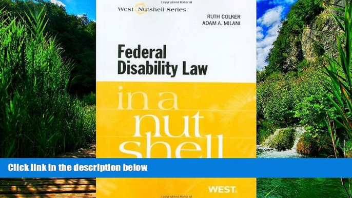 Big Deals  Federal Disability Law in a Nutshell, 4th (In a Nutshell (West Publishing)) (Nutshell