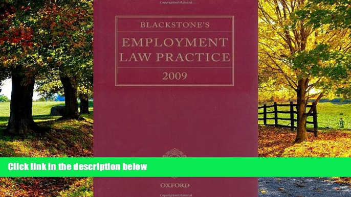 Big Deals  Blackstone s Employment Law Practice 2009  Best Seller Books Most Wanted