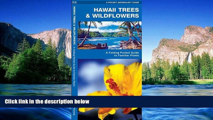 Must Have  Hawaii Trees   Wildflowers: A Folding Pocket Guide to Familiar Species (Pocket