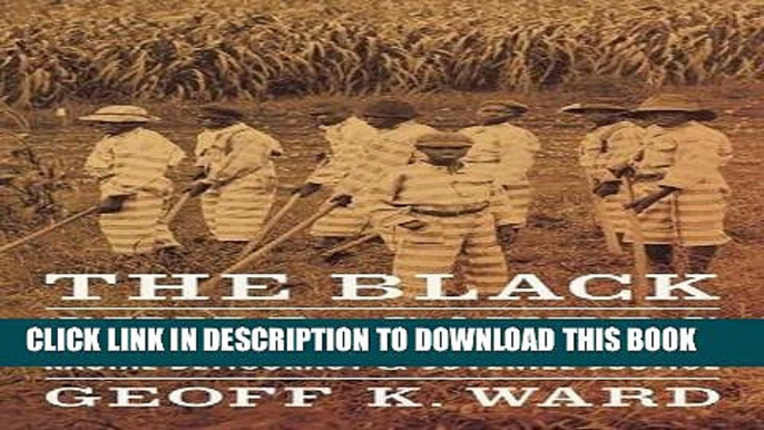 [PDF] The Black Child-Savers: Racial Democracy and Juvenile Justice Full Collection