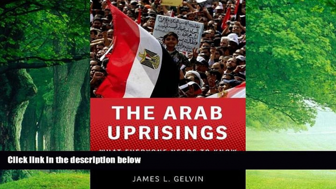 Books to Read  The Arab Uprisings: What Everyone Needs to KnowÂ®  Best Seller Books Best Seller