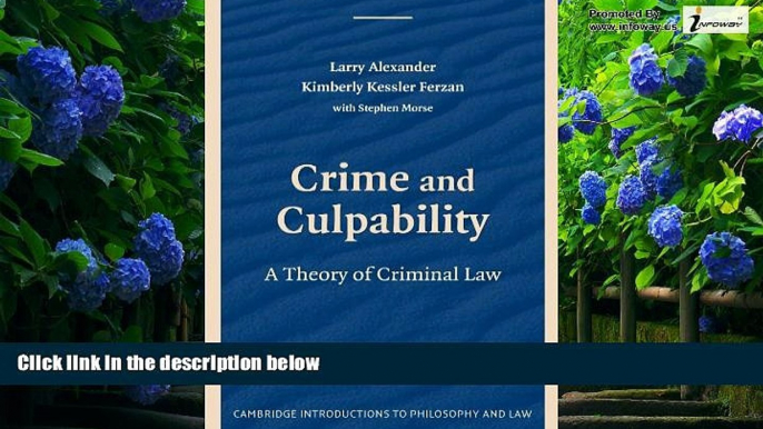 Big Deals  Crime and Culpability: A Theory of Criminal Law (Cambridge Introductions to Philosophy