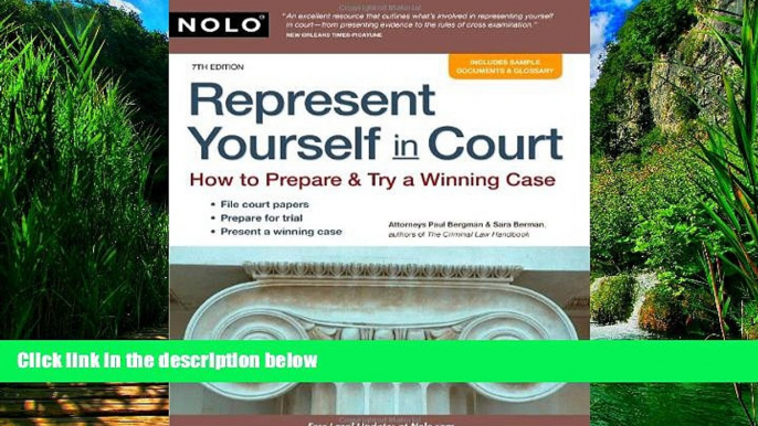 Big Deals  Represent Yourself in Court: How to Prepare   Try a Winning Case  Best Seller Books