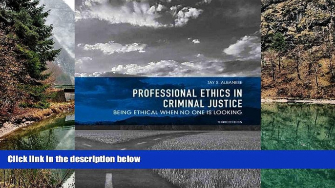 READ NOW  Professional Ethics in Criminal Justice: Being Ethical When No One is Looking 3rd