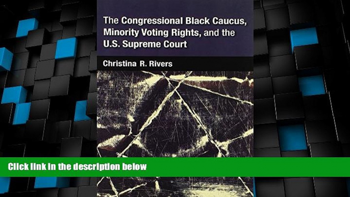 Big Deals  The Congressional Black Caucus, Minority Voting Rights, and the U.S. Supreme Court