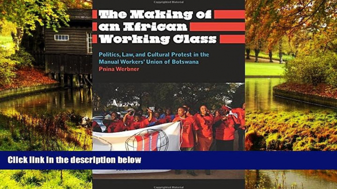 READ FULL  The Making of an African Working Class: Politics, Law, and Cultural Protest in the