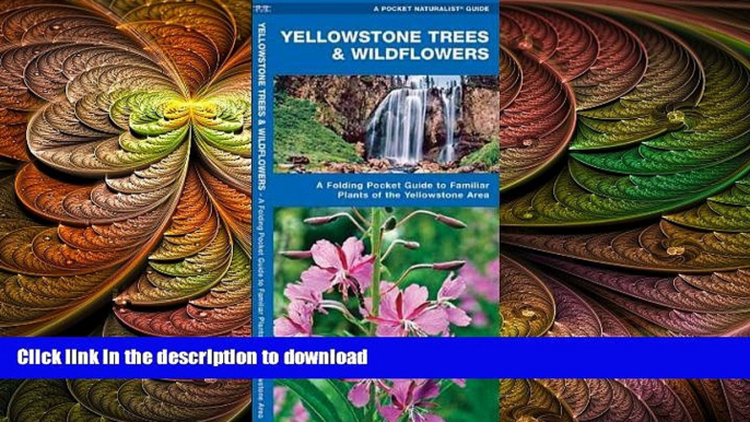 READ THE NEW BOOK Yellowstone Trees   Wildflowers: A Folding Pocket Guide to Familiar Species of