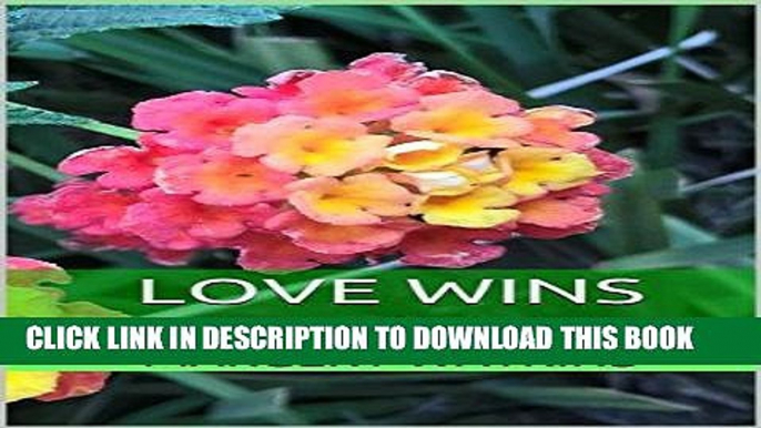 Best Seller Love Wins: Romance in the Country     Clean   Wholesome Free Download