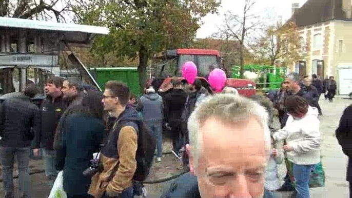 Une foire agricole Saint-Martin à Auxerre dans la lignée d'une tradition de VI siècles