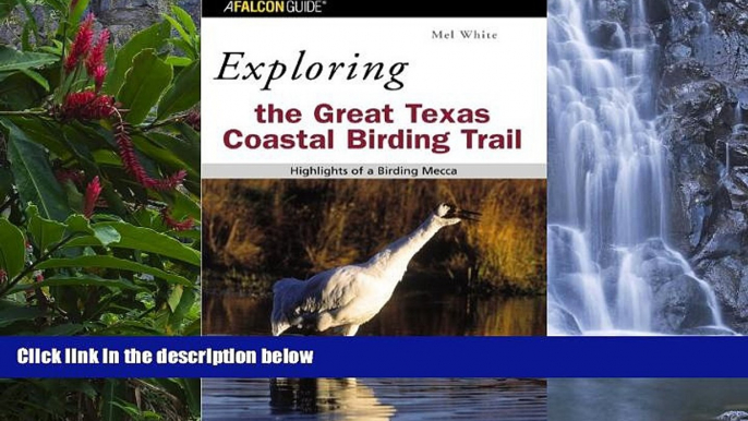 Big Deals  Exploring the Great Texas Coastal Birding Trail: Highlights of a Birding Mecca