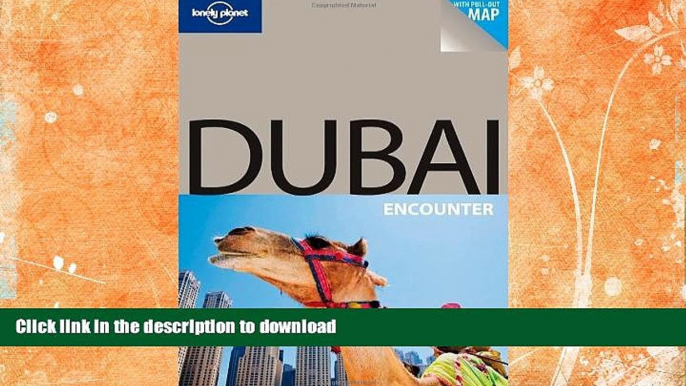 READ  Dubai Encounter  PDF ONLINE