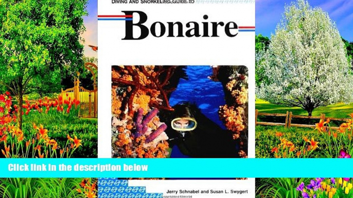 Big Deals  Diving and Snorkeling Guide to Bonaire (Lonely Planet Diving   Snorkeling Great Barrier