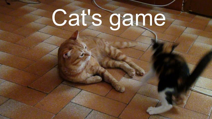 Cat's game (very effective)