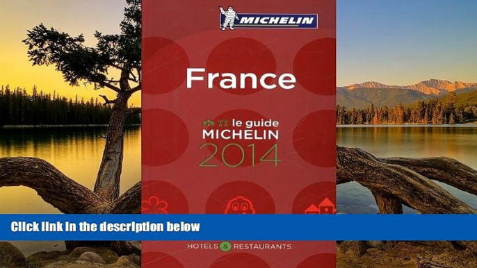 Big Deals  MICHELIN Guide France (in French) (Michelin Guide/Michelin) (French Edition)  Best