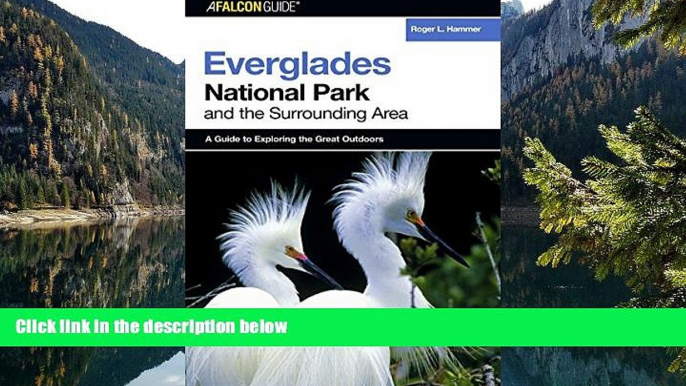 Big Deals  A FalconGuideÂ® to Everglades National Park and the Surrounding Area (Exploring