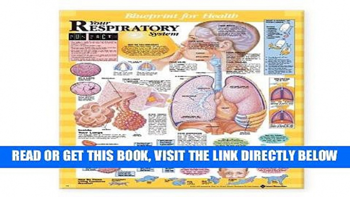 [FREE] EBOOK Blueprint for Health Your Respiratory System Chart BEST COLLECTION