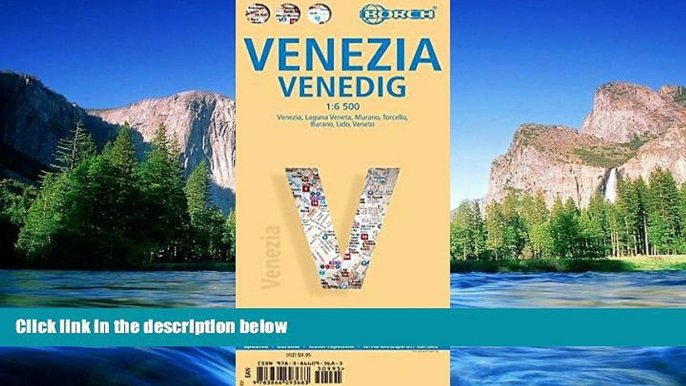 READ FULL  Laminated Venice Map by Borch (English, Spanish, French, Italian and German) (English,