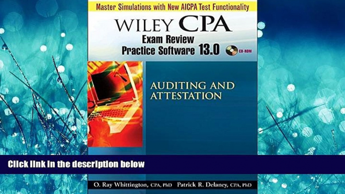 read here  Wiley CPA Examination Review Practice Software 13.0 Audit