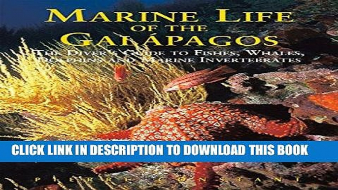 Best Seller Marine Life of the Galapagos: Divers  Guide to the Fish, Whales, Dolphins and Marine