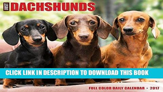 Best Seller Just Dachshunds 2017 Box Calendar (Dog Breed Calendars) Free Read