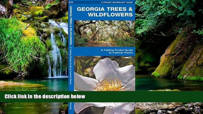 Must Have  Georgia Trees   Wildflowers: A Folding Pocket Guide to Familiar Species (Pocket