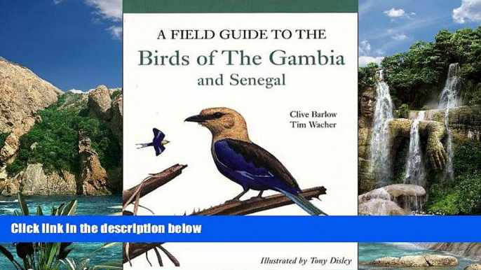 Big Deals  A Field Guide to Birds of The Gambia and Senegal  Best Seller Books Best Seller