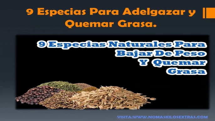 9 Ingredientes Naturales Para Quemar Grasa Y Bajar De Peso.