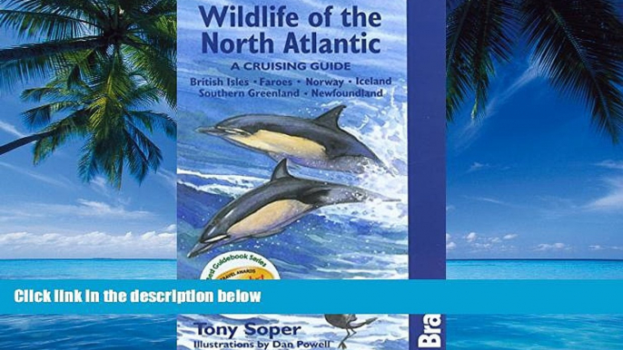 Books to Read  Wildlife of the North Atlantic: A Cruising Guide (Bradt Travel Guide Wildlife of