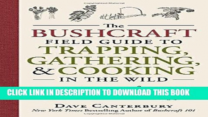 Best Seller The Bushcraft Field Guide to Trapping, Gathering, and Cooking in the Wild Free Read