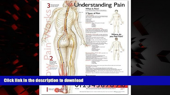 Best books  Understanding Pain Anatomical Chart