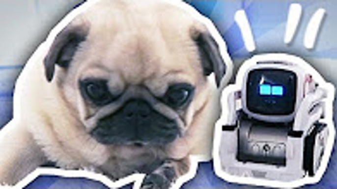 DanTDM COZMO THE ROBOT MEETS THE PUGS TheDiamondMinecart