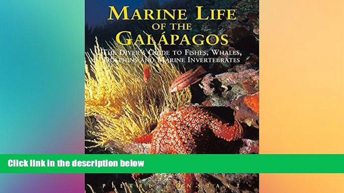 Must Have  Marine Life of the Galapagos: Divers  Guide to the Fish, Whales, Dolphins and Marine