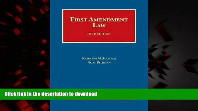 liberty book  First Amendment Law (University Casebook Series)