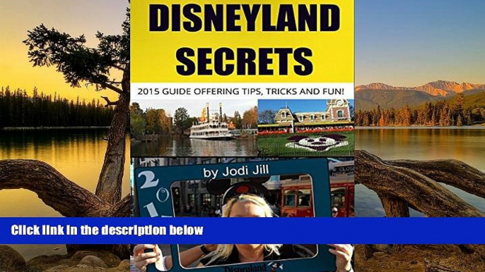 Big Deals  Disneyland Secrets: 2015 Guide Offering Tips, Tricks and Fun  Best Buy Ever